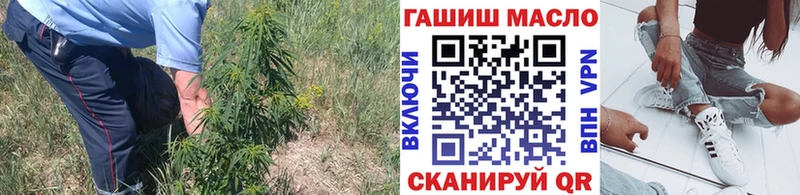 OMG ссылка  Череповец  Дистиллят ТГК концентрат 