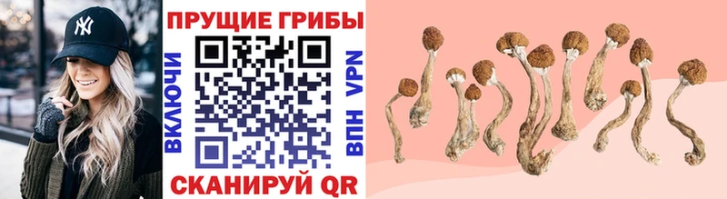 Галлюциногенные грибы MAGIC MUSHROOMS  МЕГА   Череповец 